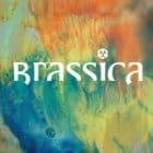 Brassica - Hayat Zor EP