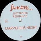 Electronic Resistance - Marvelous Night (Garry Martin / Claude Young remixes)