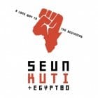 Seun Kuti - A Long Way To The Beginning