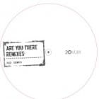 Josh Wink - Are You There (Ben Klock & Rod Rmxs)