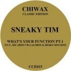 Sneaky Tim - What's Your Function Pt. 1 