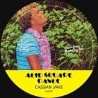 Acid Square Dance - Cassian Jams