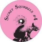 Secret Squirrel - Secret Squirrels no4