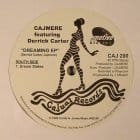 Cajmere - Dreaming ep