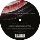 Dj Sprinkles - Queerifications & Ruins Vinyl Sampler Pt. 4