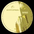 Tapirus - Enlightenment