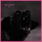 Recondite - IFFY