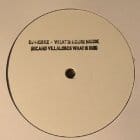 Dj Pierre - What Is House Muzik (R. Villalobos Rmxs)