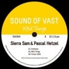 Sierra Sam & Pascal Hetzel - Wild Things ep