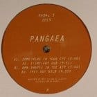 Pangaea - New Shapes in the Air