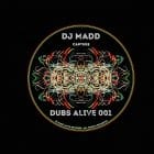 DJ Madd - Capture / Slatahouse Dub