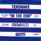 Tensnake - In The End (Tiger&woods, Shan, Prins Thomas, Peter Herbert…)