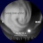 Dark Energy - Dark Paradise