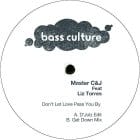 Master C & J ft Liz Torres - Don't Let Love Pass You By