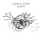 Floating Points - Elaenia