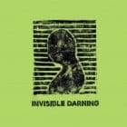 Various Artists - Invisible Darning