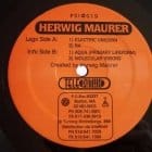 Herwig Maurer - Electric Unicorn