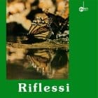 Rino de Filippi - Riflessi