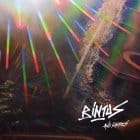 Bintus - Acid Shores