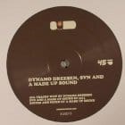 Dynamo Dreesen, SVN & A Made Up Sound - Sued 13