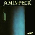 Amin Peck - Love Disgrace