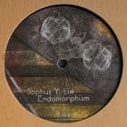 Sophus Y. Lie - Endomorphism