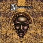 B12 - Transient Life