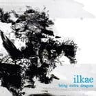 Ilkae - Bring Extra Dragons