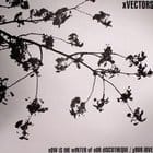 Xvectors - Now Is The Winter Of Our Discothechque