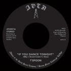 TSpoon - If You Dance Tonight