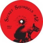 Secret Squirrel - Secret Squirrels no12