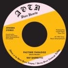 Ray Barretto - Pastime Paradise