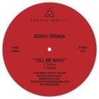 Soichi Terada / Whodamanny - Tell Me What