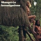 MJ - Shangri La Investigations
