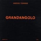 Amedeo Tommasi - Grandangolo 