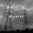 Plant43 - Grid Connection