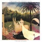 Midori Takada - Through The Looking Glass (2017 LTD Version)