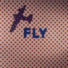 Kevin Harrison - Fly Ep
