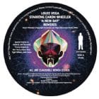 Louie Vega Starring Caron Wheeler  - A New Day Remixes (Inc. Joe Claussell, Ron Trent Remixes) 