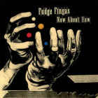 Fudge Fingas - Now About How