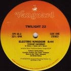 Twilight 22 - Electric Kingdom