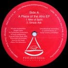 Reggie Dokes - A Piece Of The Afro EP