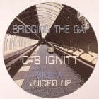 O B Ignitt - Bridging The Gap