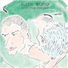 Flesh World - Into The Shroud