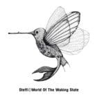 Steffi - World Of The Waking State