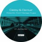 Cassy x Demuir - Please Me (Fred P Reshape Project)