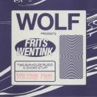 Frits Wentink  - Two bar house music and chord stuff Vol.2 