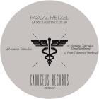 Pascal Hetzel - Noxious Stimulus (Denise Rabe remix)