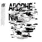 Various Artists - Apophenia