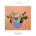 Low Flung - Blow Waves